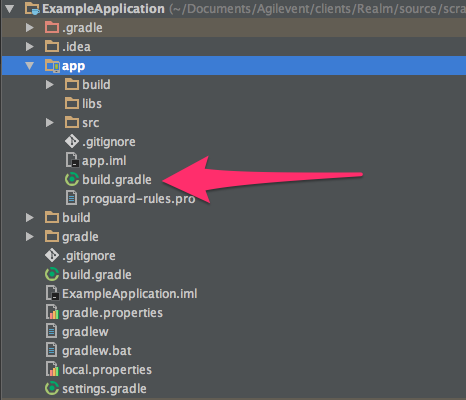 Application level build.gradle file indicated in the Project panel