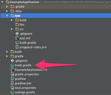 Project level build.gradle file indicated in the Project panel